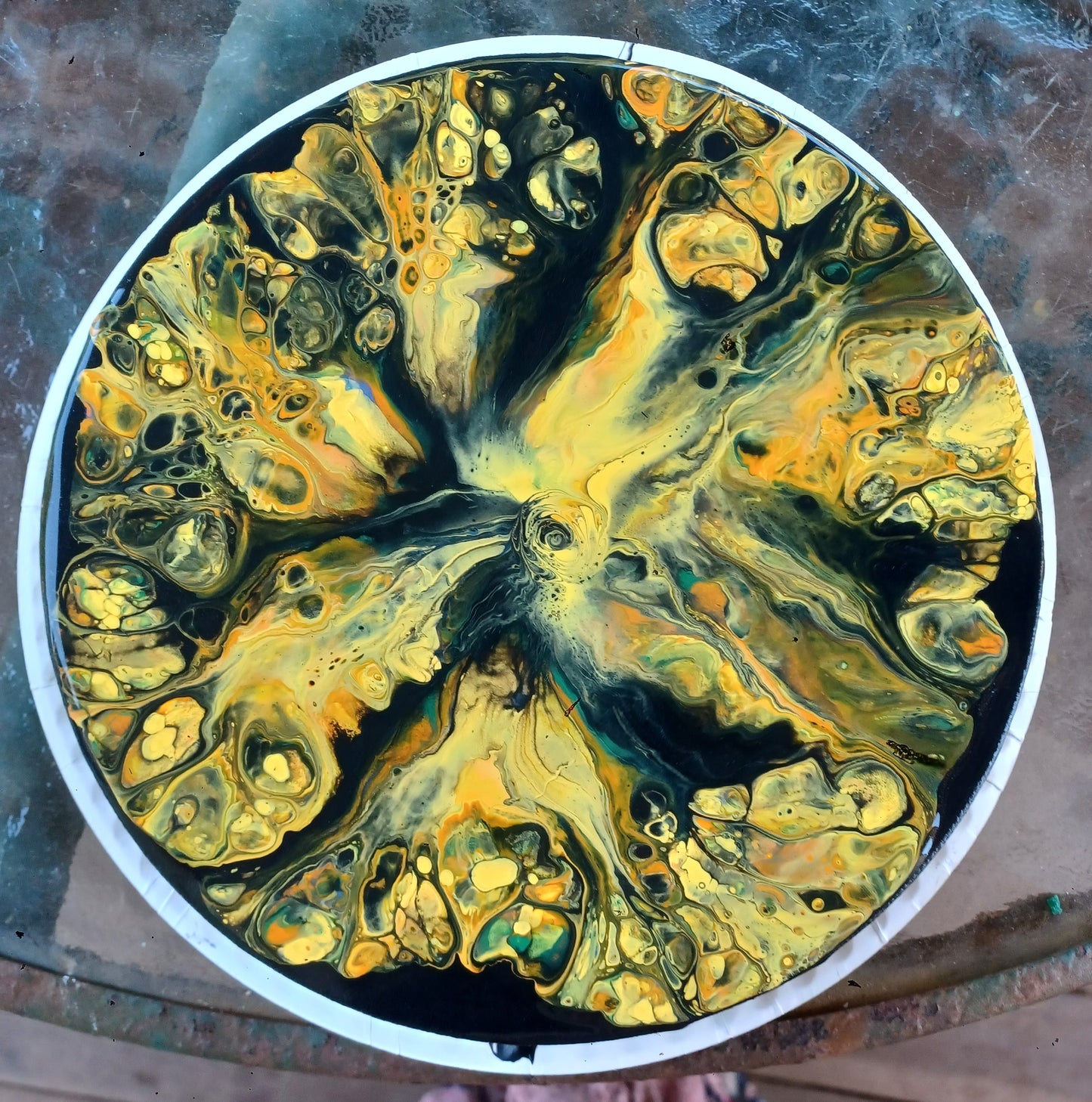 Circular Vortex